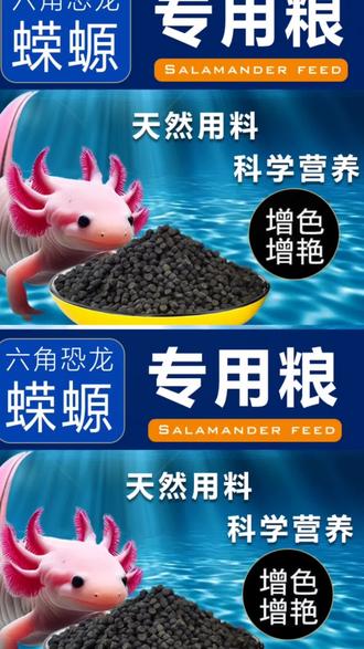 六角恐龙鱼饲料六角龙娃娃鱼东方蝾螈六六下沉底栖鱼专用鱼粮#六角恐龙鱼粮#鱼饲料#宠物用品 #好物推荐🔥