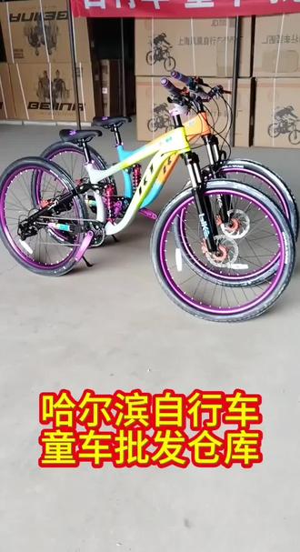 #哈尔滨自行车批发仓库#各种款式自行车 #哈尔滨童车批发仓库#童车