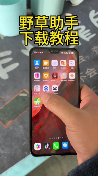 《小友大全》野草助手下载教程#野草助手 #野草助手口令 #野草助手怎么下载 #野草助手分享码