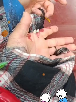 #以一当百的管家#