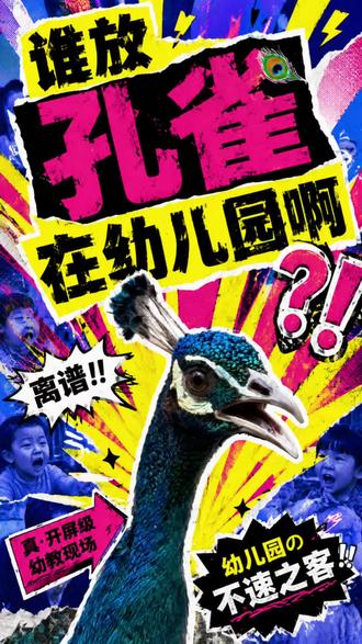 谁放孔雀在幼儿园啊?? #孔雀 #柳州市动物园 #研学基地 #抽象 #幼儿园