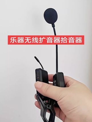 #扩音器 #拾音器 #无线麦克风