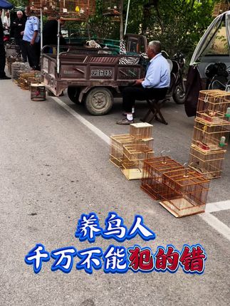 养鸟血螨羽虱要定期做