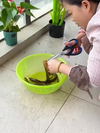 #通肠器 #翻肠刀 #开肠器 #生活好帮手 #生活小帮手