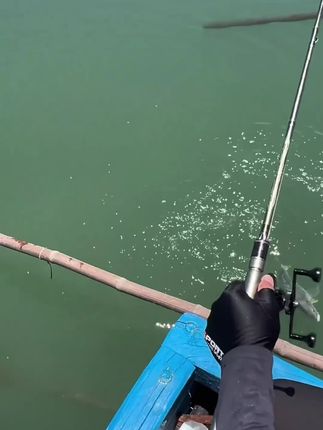 #海钓 #渔具用品 #爱生活爱钓鱼 #鱼钩 #超便宜超划算