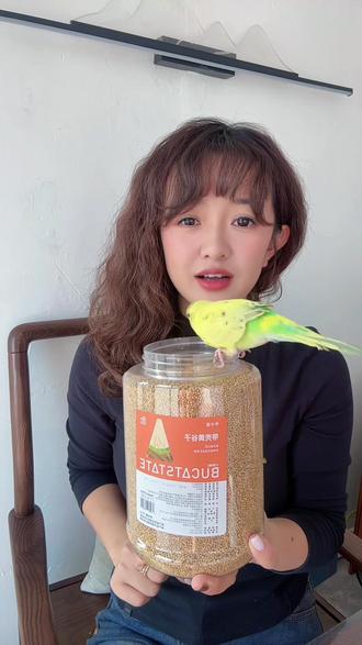 小虎皮鹦鹉吃的粮食真的很简单,一桶干净的黄谷子一袋加纳利子,偶尔笼子里扔点蔬菜叶子!足矣!!#虎皮鹦鹉 #鹦鹉粮食 #