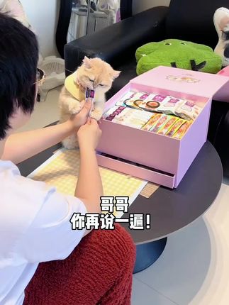 足足23件麦富迪湿粮冻干大礼包,也太划算了!#新手养猫 #养猫经验分享 #养猫人