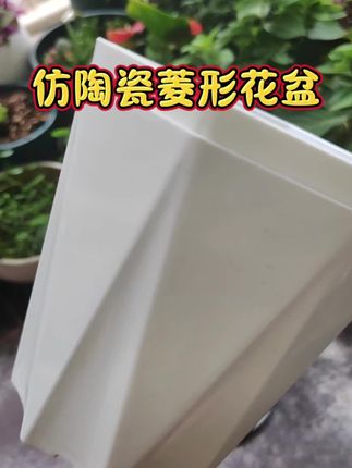 #花盆 #欧式花盆 #透气花盆 #仿陶瓷花盆 #菱形花盆