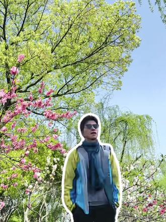 我现在的表达能力be like #大自然 #废话文学 #上热门 #李健大自然