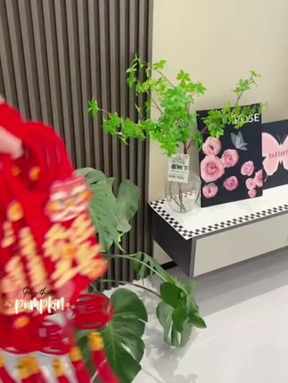 #挂件 #乔迁新居 #门把手挂件 #新房装饰