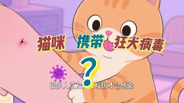 被猫抓咬后如何科学自测报名#宠物 #养猫人 #养猫经验分享 #狂犬疫苗