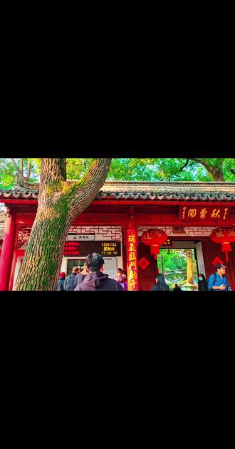 暮秋的秋霞圃,是被枫叶点燃的诗意秘境。朱红、嫣红、橙黄的枫叶层层叠叠,顺着曲径通幽的回廊蔓延,与古色古香的亭台轩榭相映成趣。阳光透过枝叶的缝隙洒落,在青石板路上投下斑驳的光影,踩上去沙沙作响,像是秋姑娘在轻声呢喃。园内的枫叶或攀附于白墙之上,或垂挂于碧波岸边,风一吹,红叶如蝶翼翻飞,飘落水面,随波荡漾,将清澈的湖水染成一片醉人的红。转角处的鸡爪槭最为惊艳,叶片纤细如掌,霜打后愈发鲜红,与旁边的翠竹、金桂形成鲜明对比,勾勒出一幅浓墨重彩的秋日画卷。#摄影爱好者 #网红树 #城市风光 #摄影取景 #我的摄影日记