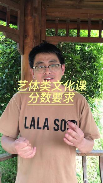 中考特长生文化课分数要求#中考#初升高#品象画室