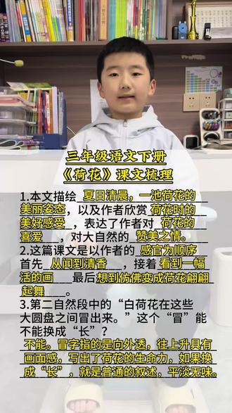 三年级语文下册 第一单元第三课古诗三首《荷花》知识点#小学语文 #语文知识点 #语文知识分享 #每天学习一点点
