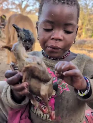 #哈扎比部落纪录片  #原始部落