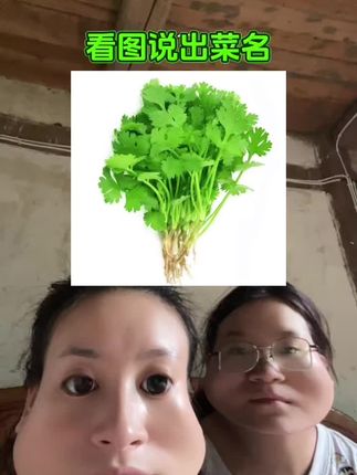 #看图说青菜 哪个来了都说是盐须,最好吃的也是盐须#农作物 #挑战