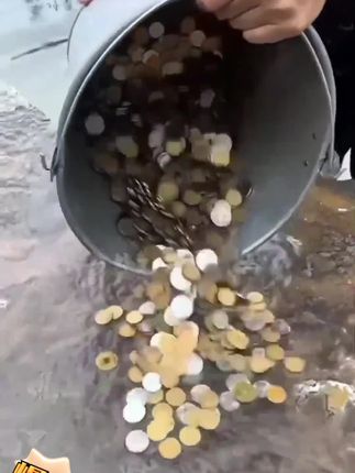 强磁磁铁超强打捞神器磁力吸盘钕铁硼圆形挂钩吸铁石强磁王固定器#强磁铁##打捞神器#磁力吸盘#固定器