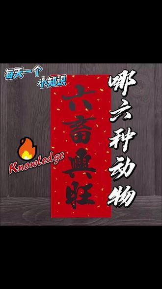 六畜兴旺,五谷丰登,横批~好大肥猪~~哈哈哈哈#科普知识#家畜家禽 #动物世界