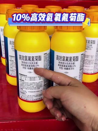 #高效氯氟氰菊酯 #杀虫剂 #病虫害防治 #三农种植 #热门抖音小助手