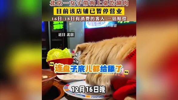 北京火锅店因狗上桌被停整顿续店铺被曝光已退款,狗主人担责#热门#社会百态#社会热点