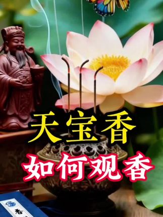 如何观香#观香#香谱#香文化