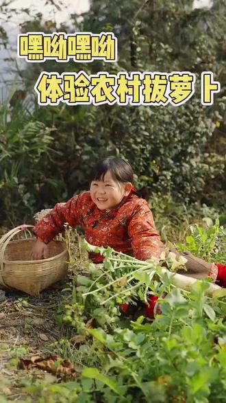 瑶总短剧合集来咯 🎉瑶一瑶小肉包拔萝卜啦!🥕小肉手抓着大萝卜使劲拽,小脸憋得通红太可爱~
✨筐筐里的萝卜堆成小山,这丰收的快乐谁
懂呀!#瑶一瑶小肉包 #瑶一瑶的社牛大合集 #瑶总短剧 #瑶一瑶穿越啦