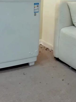 志高半自动大容量双桶洗衣机家用双缸波轮小型租房老式租房洗脱#双桶洗衣机 #家用洗衣机半自动 #洗衣机@抖音小助手 #生活好物