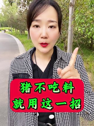 猪不吃料就用这一招 #养猪 #养猪人 #养猪人加油干 #养猪人不容易 #猪不吃 猪不吃料就用这一招