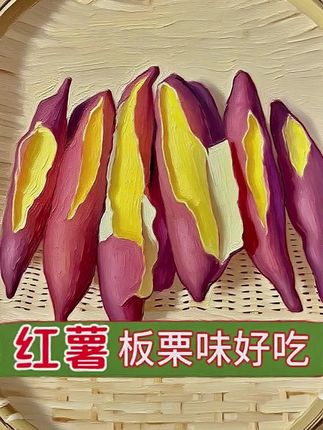 板栗红薯 粉糯香甜 自带板栗香 无筋无丝 蒸煮烤都好吃!#板栗红薯 #红薯 #优质农产品 #软糯香甜 #粗粮