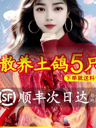 农家散养老鸽子,现杀鸽子肉,土鸽,乳鸽#鸽子 #美食 #煲汤 #吃了还想吃 #快来一起尝个鲜
