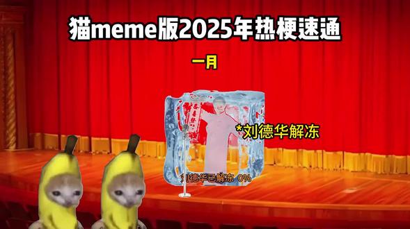 猫meme版2025年热梗速通 #在快手速通2025 #神动画顶流计划 #热梗