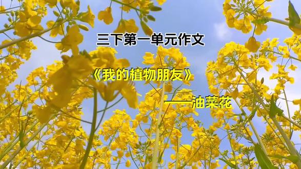 三下语文语文 | 第一单元《我也植物朋友》范文,让文字更生动的动画#家长收藏孩子受益 #小学语文 #作文