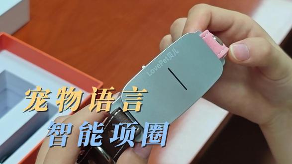 翻译项圈拆箱视频来咯 宠物翻译器#深圳宠智联#lovepet贝儿翻译项圈