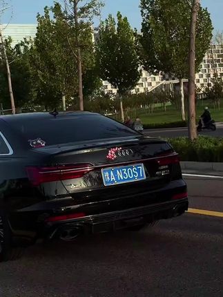 对象送的桃花车贴,贴车上太好看了#汽车好物 #汽车装饰品 #女生的车内饰