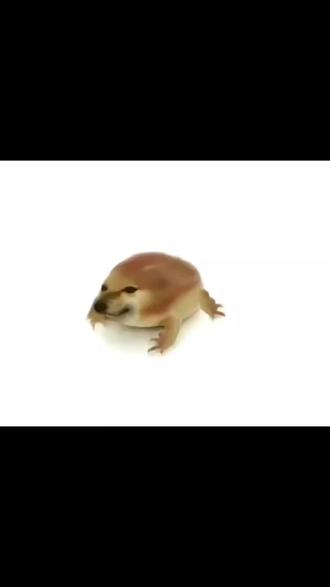 我的刀盾一分钟纯享版#我的刀盾