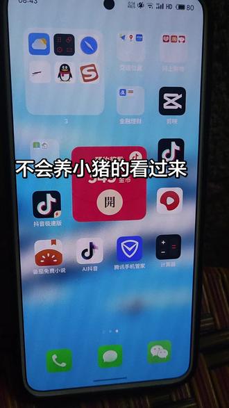 #抖音极速版#新手小白不会养小猪的,小猪养不上去的看看吧