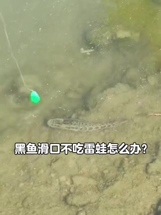 #路亚 水老鼠路亚假饵防挂浮水软虫打黑雷强土豆仿生软饵黑鱼路亚假饵