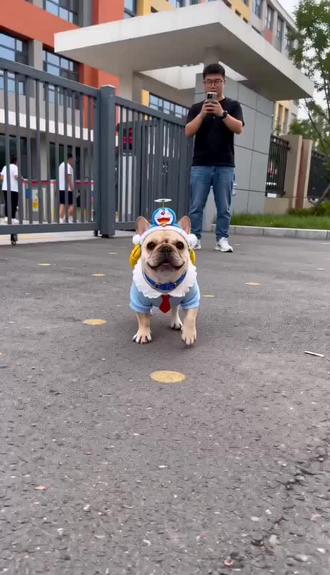 #AI小可爱想吃雪糕