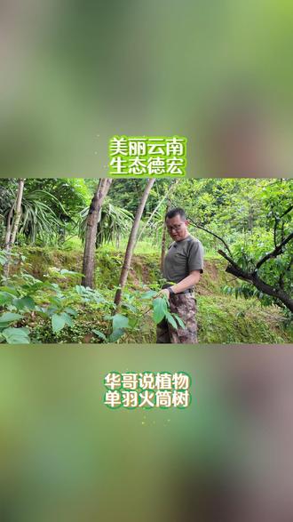 秘境边陲、生态前哨、美丽德宏