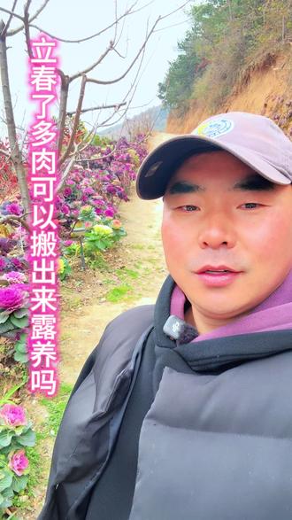 立春了要把花搬到户外吗?
#立春#羽衣甘蓝 #我的乡村生活 #爱生活爱养花 #多肉植物