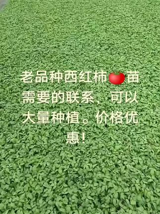 价格优惠需要的联系!