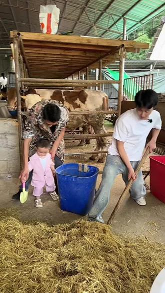 牛牛带潇潇来喂牛,现场才艺比拼#才艺比拼 #喂牛 #苏潇潇 #