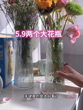 5.99到手两个质量超赞的大花瓶 家里瞬间高级感满满,养花的姐妹快冲#花瓶 #居家插花 #花瓶插花 【两只装】玻璃花瓶家用时尚美观大气上档次