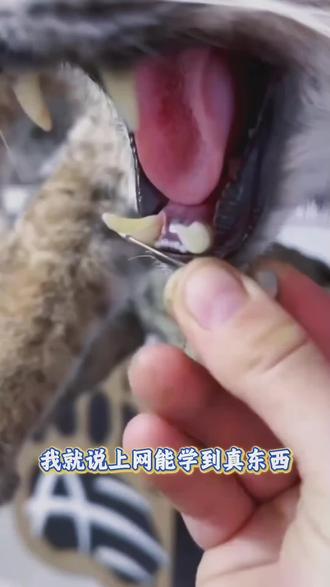 我就说上网能学到真东西#晕车#中医#涨知识#抖出健康知识宝藏#健康科普破圈计划