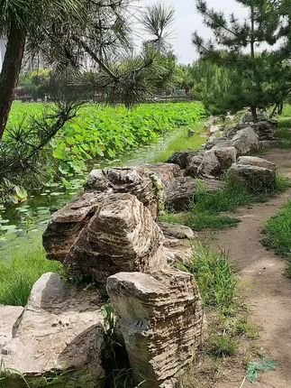 一路小跑保持清醒,永远知趣还有善良。