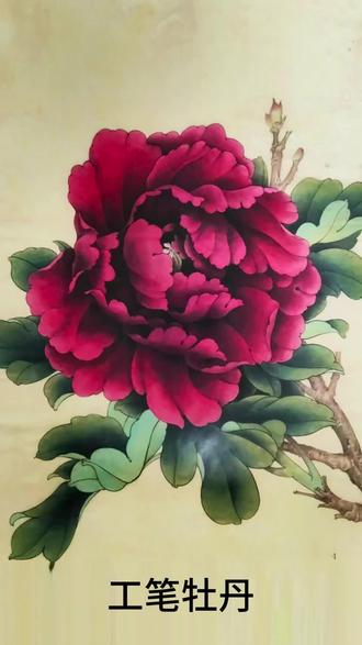 工笔牡丹的绘画过程
#工笔花鸟#工笔线描