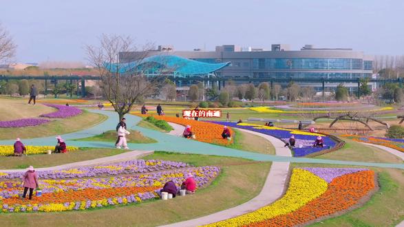 你可以永远相信洲际梦幻岛的审美#洲际梦幻岛 #春天 #南通小浅浅 #旅行推荐官