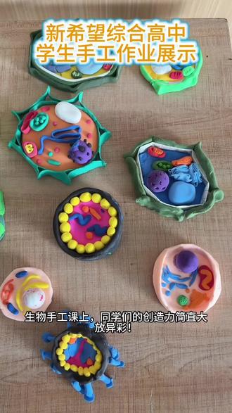 这堂生物手工课的作业太惊艳了!
#学校生活 #学校里的那些事 #高中数学