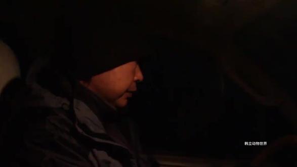 重返.狼群十周年 往后每一只狼都是格林,愿每一个人类都是李微漪#动物世界 #纪录片 #重返狼群十周年特别纪念版 #青年创作者成长计划