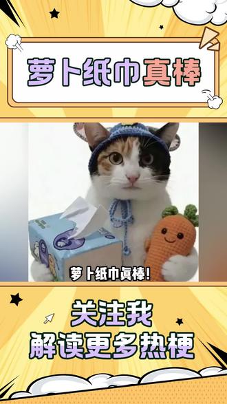 “萝卜纸巾小猫”是什么梗?为什么会爆火全网?@超级无敌大开门 #萝卜纸巾 #大笨猫 #搞笑 #哈基米 #萌宠